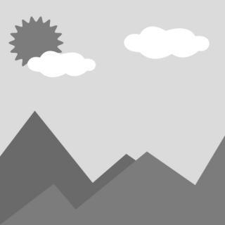 502,410,736 502410934 502270437 502410931 502411031 AIGE EDM Diamond Guide Guide Guide Верхний и нижний